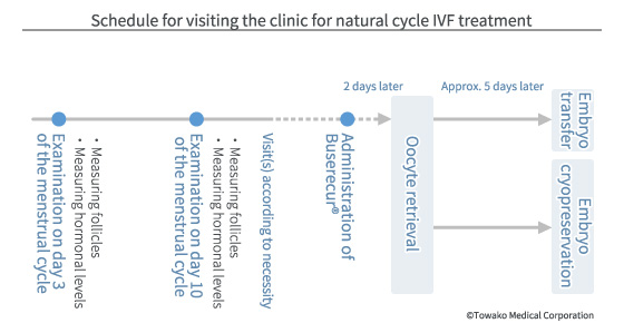 Schedule for visiting the clinic for natural cycle IVF treatment